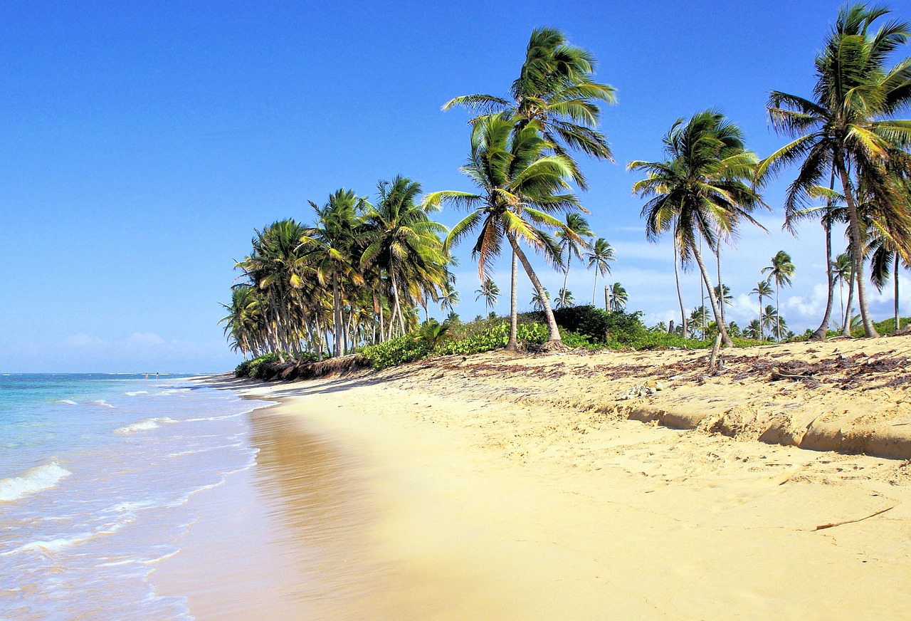 Dominican Republic, Beach, Palm Trees, Caribbean